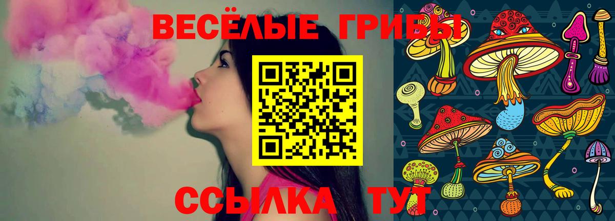 Галлюциногенные грибы мицелий Карпинск